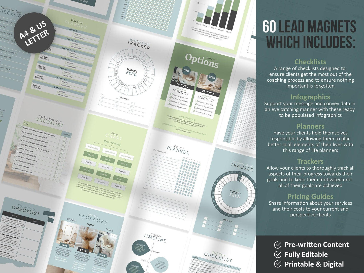 385+ Life Coaching Client Onboarding Toolkit (green)