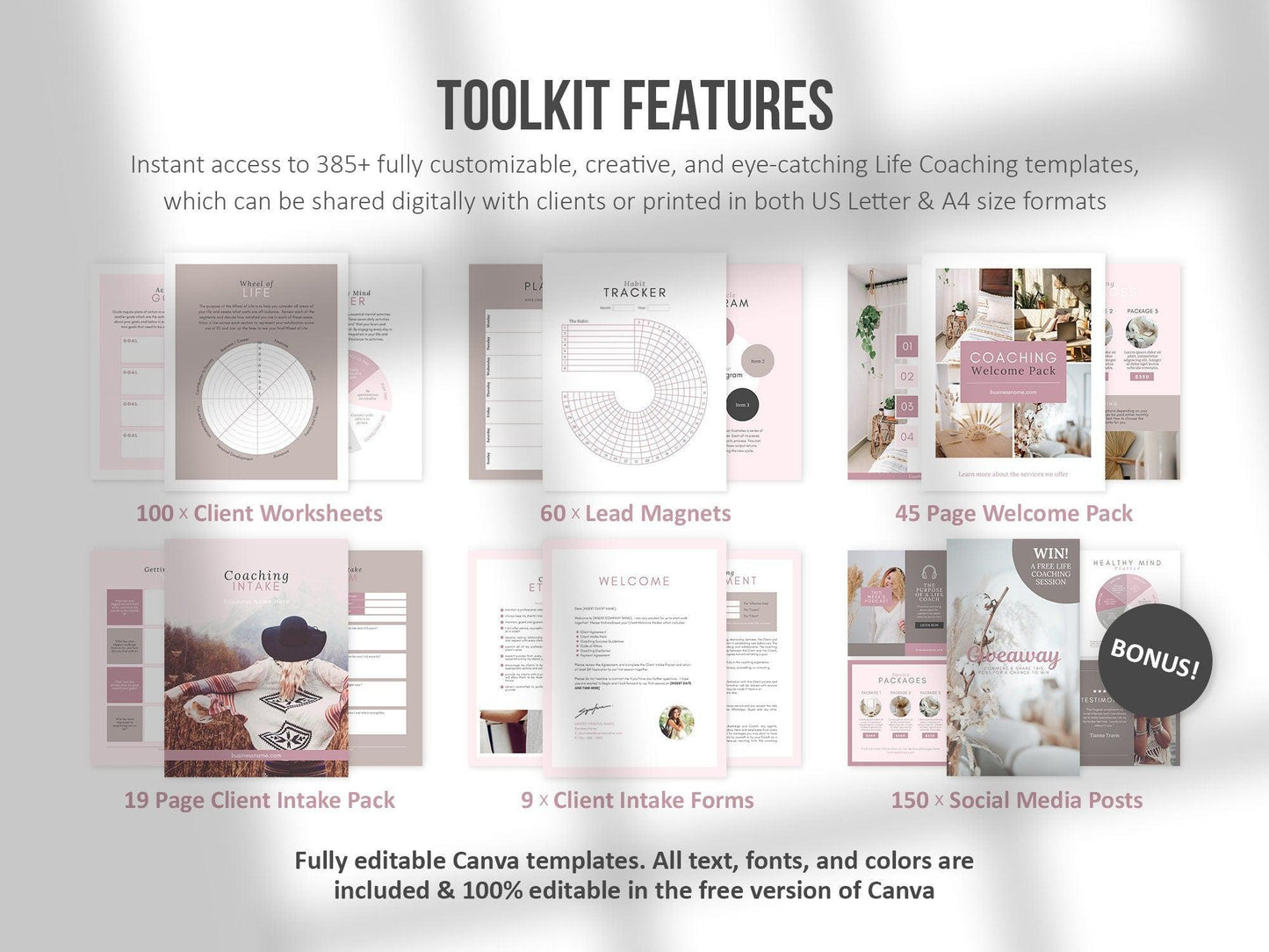 385+ Life Coaching Client Onboarding Toolkit (mauve)