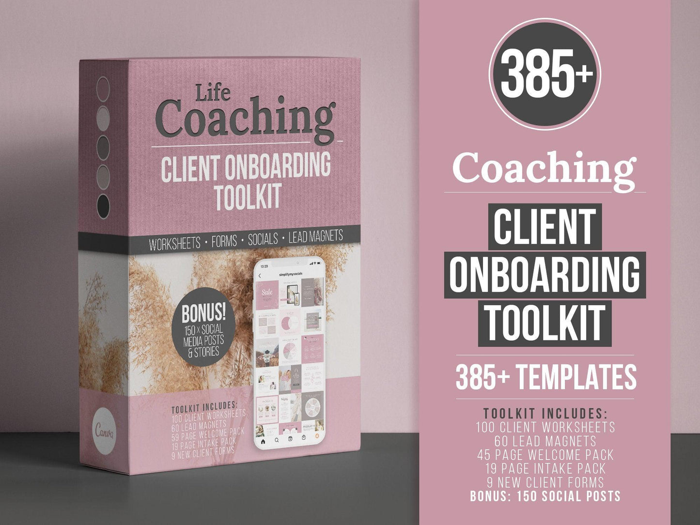 385+ Life Coaching Client Onboarding Toolkit (mauve)