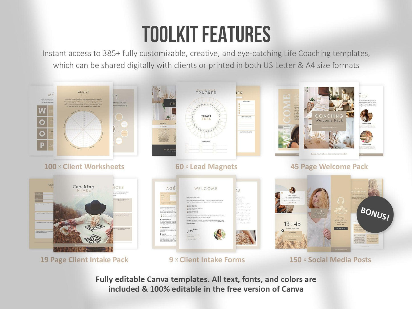 385+ Life Coaching Client Onboarding Toolkit (sand)