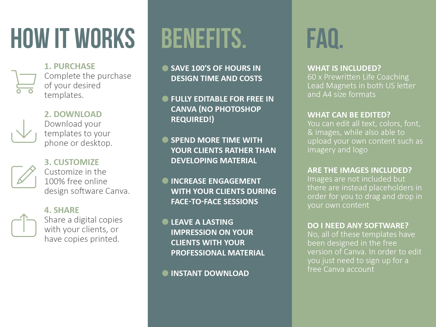 60 Life Coaching Lead Magnets (green)