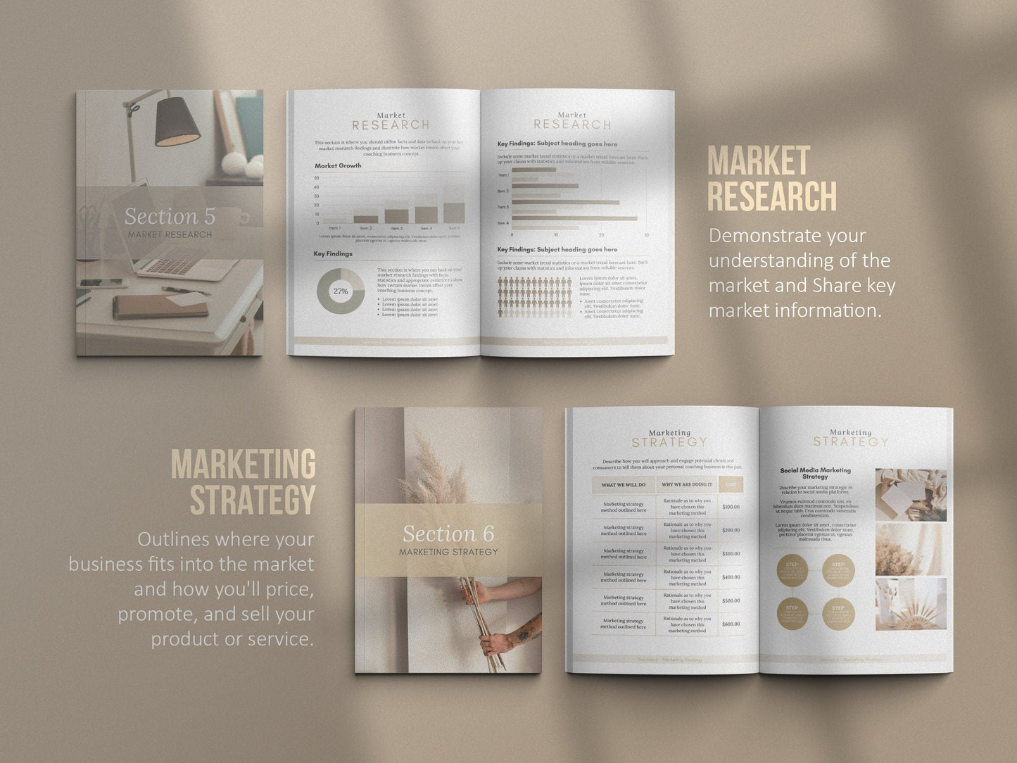 Coaching Business Plan Template (Sand)