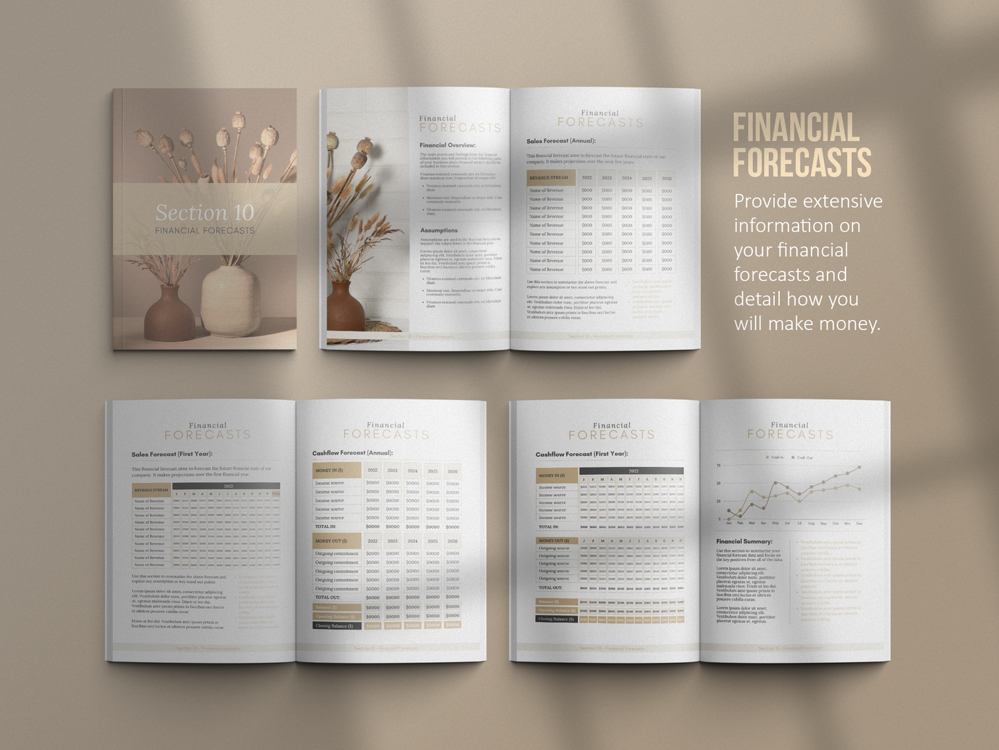 Coaching Business Plan Template (Sand)