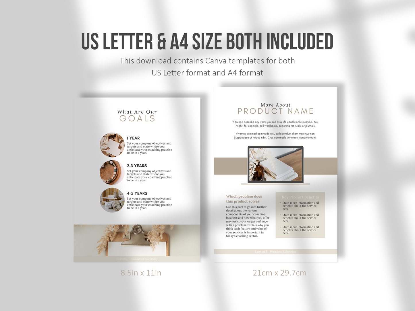 Coaching Business Plan Template (Sand)