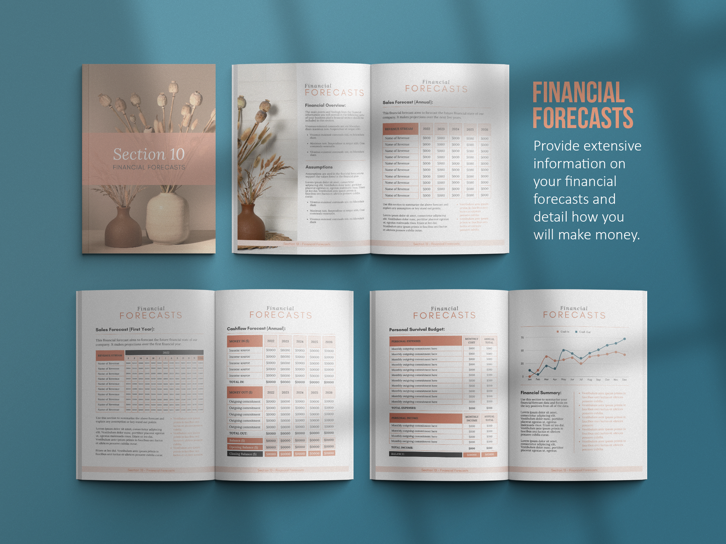 Coaching Business Plan Template (blue)