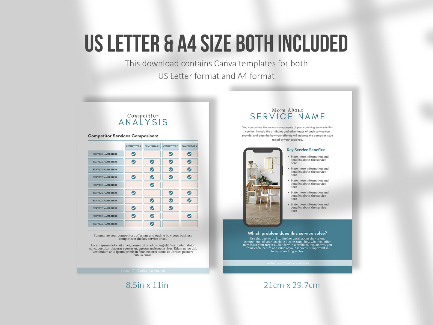 Coaching Business Plan Template (blue)