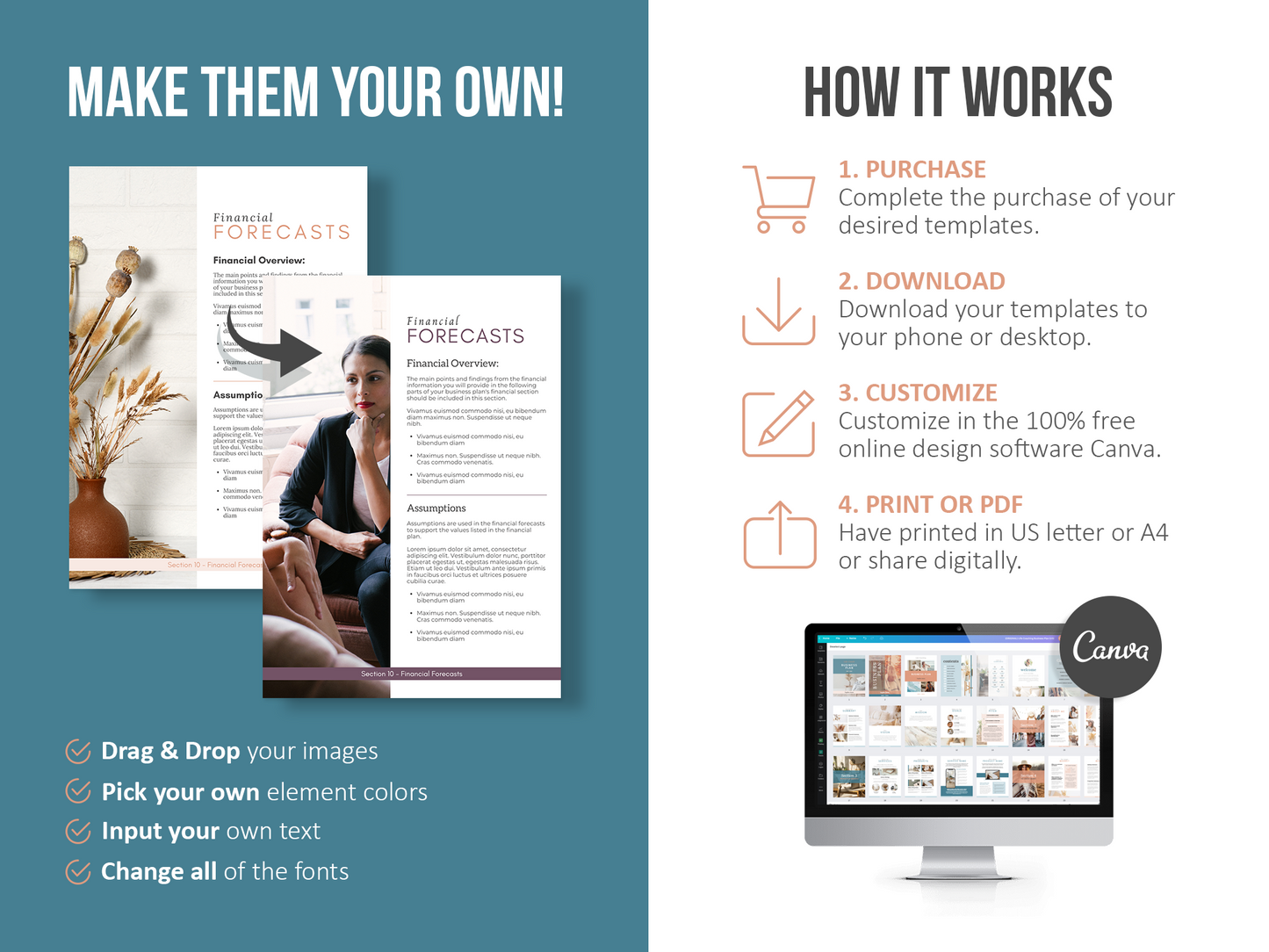 Coaching Business Plan Template (blue)