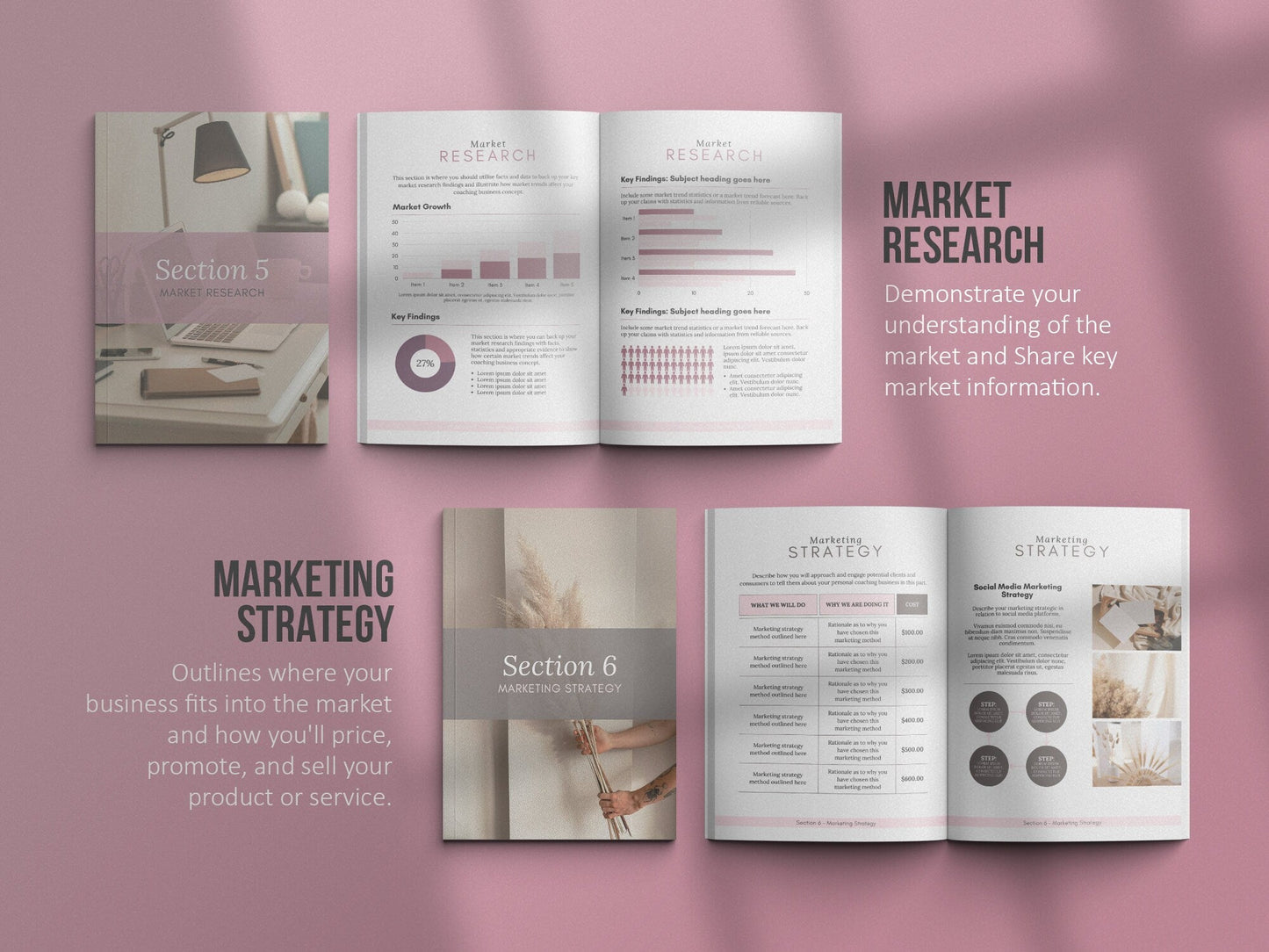 Coaching Business Plan Template (mauve)