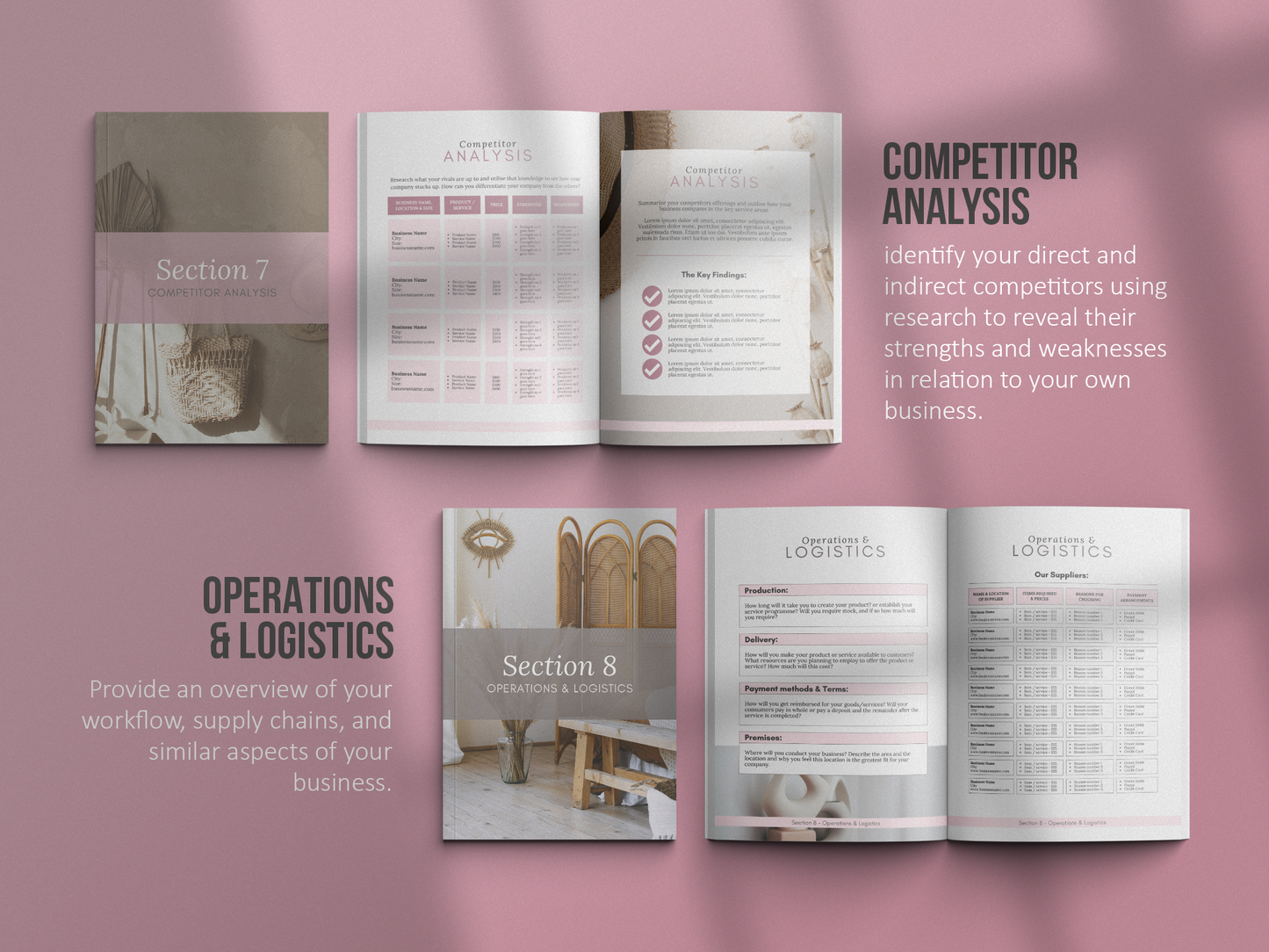 Coaching Business Plan Template (mauve)