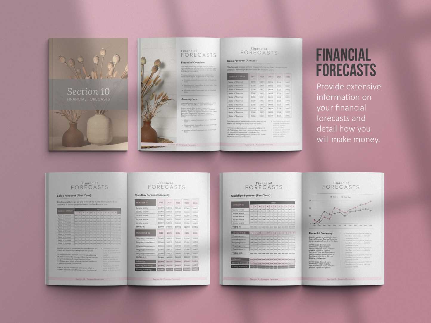 Coaching Business Plan Template (mauve)