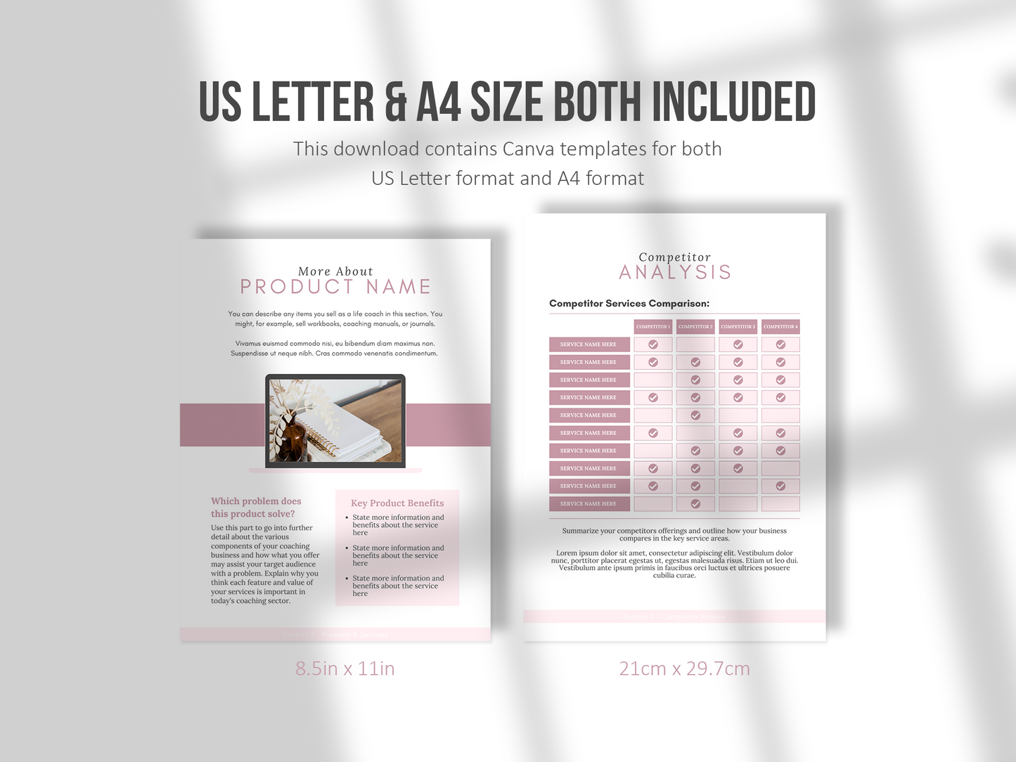 Coaching Business Plan Template (mauve)
