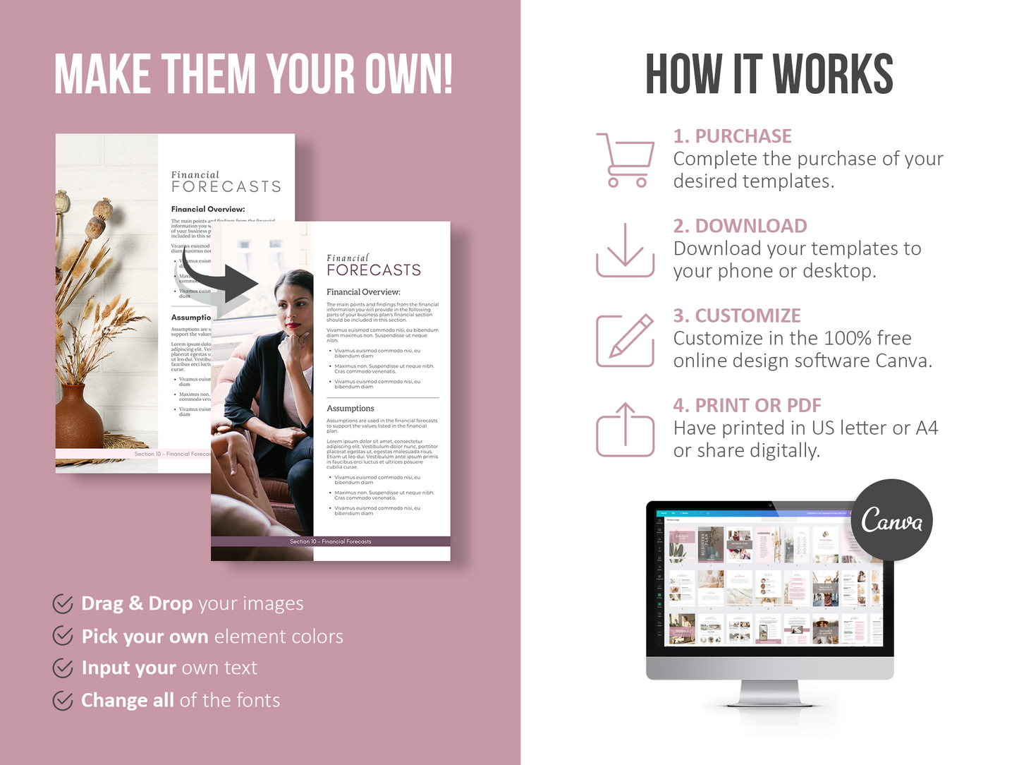 Coaching Business Plan Template (mauve)