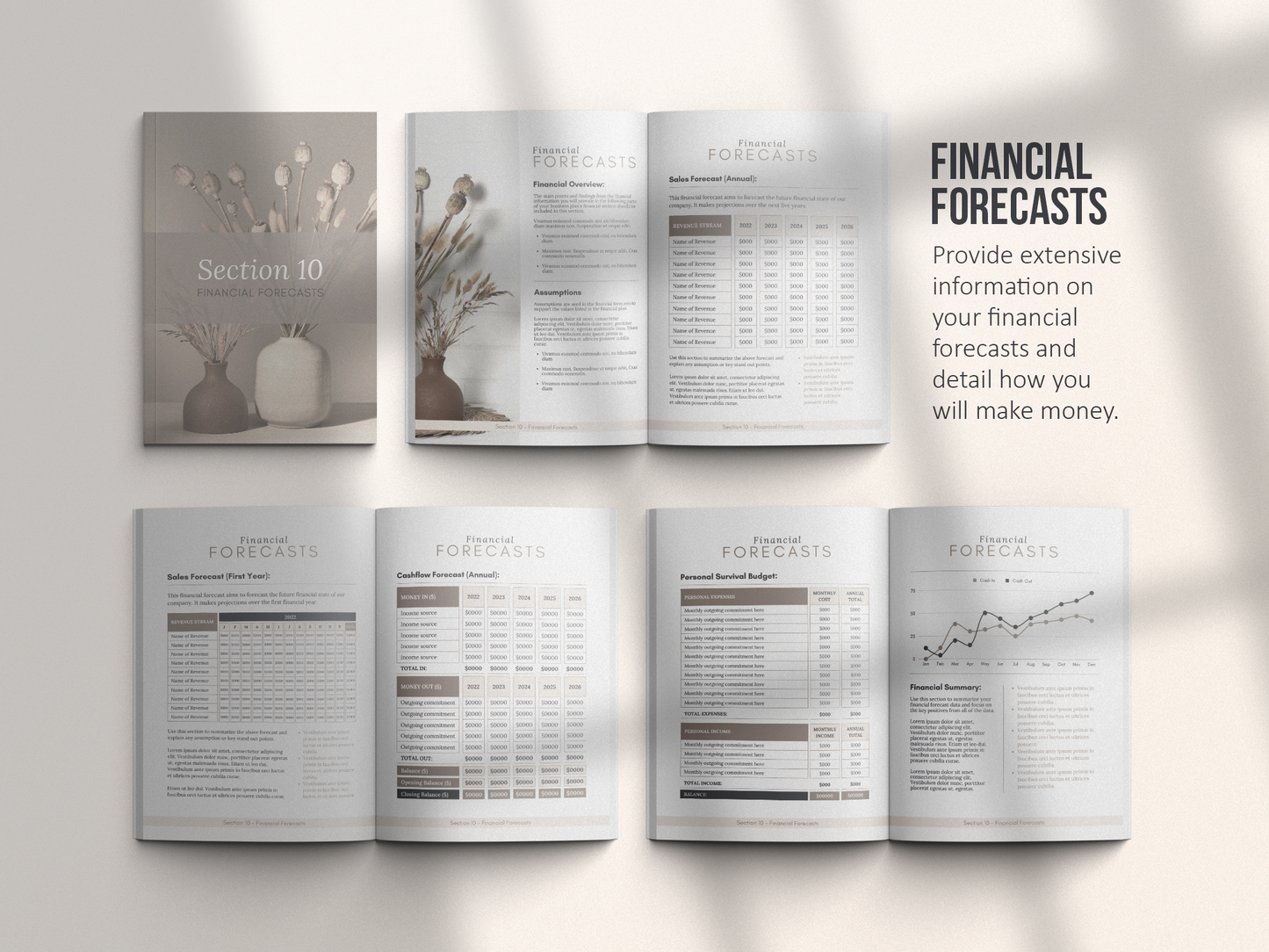 Coaching Business Plan Template (royal)