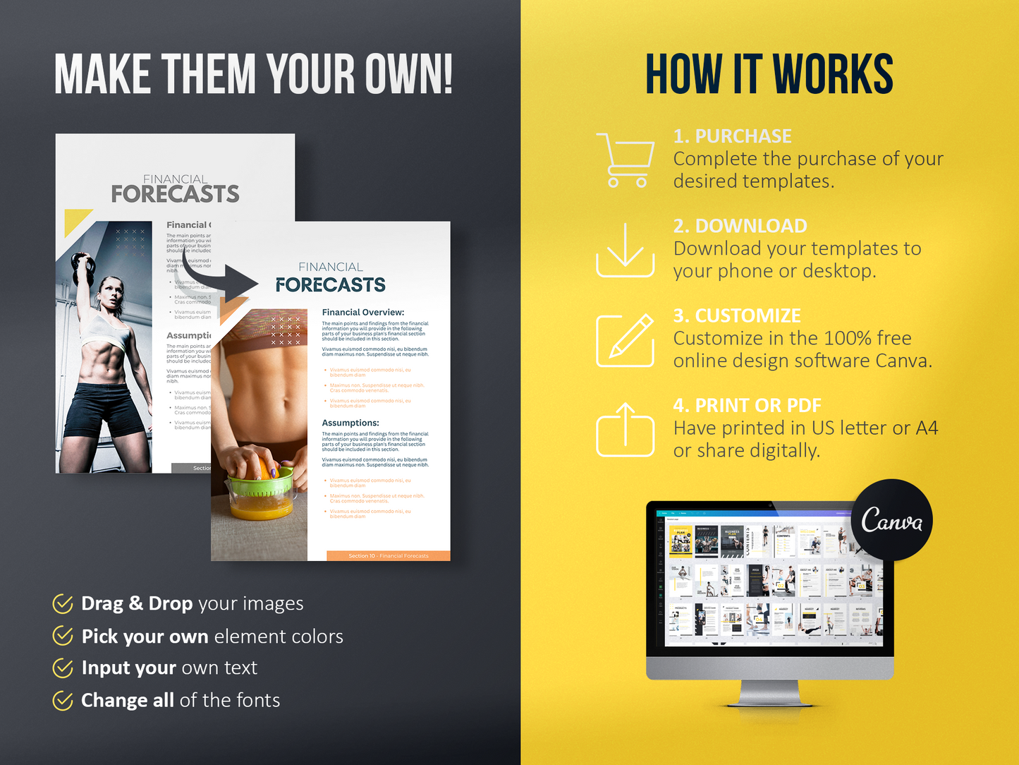 Fitness Business Plan Template (mustang)