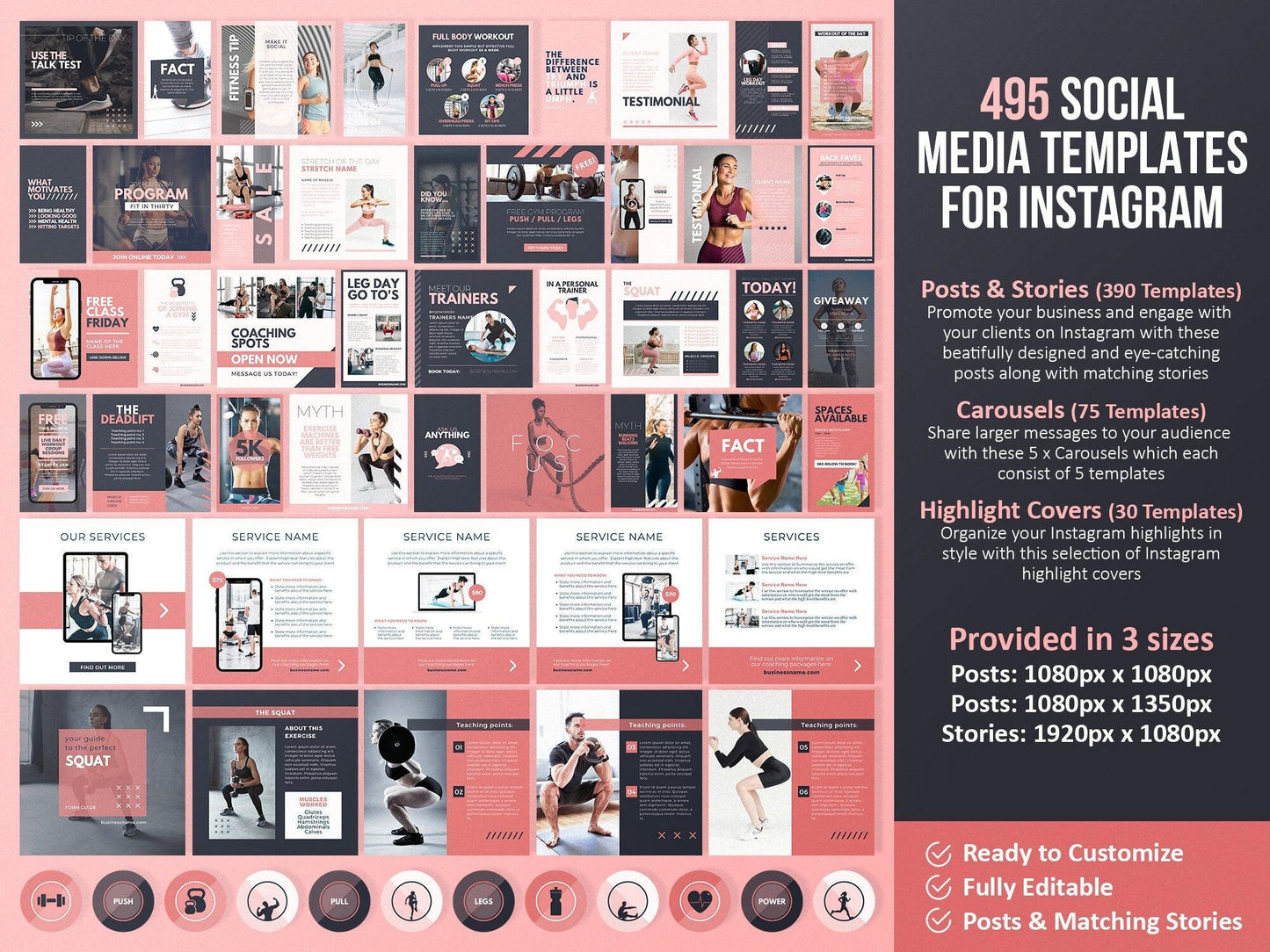 Fitness Ultimate Toolkit (blush)