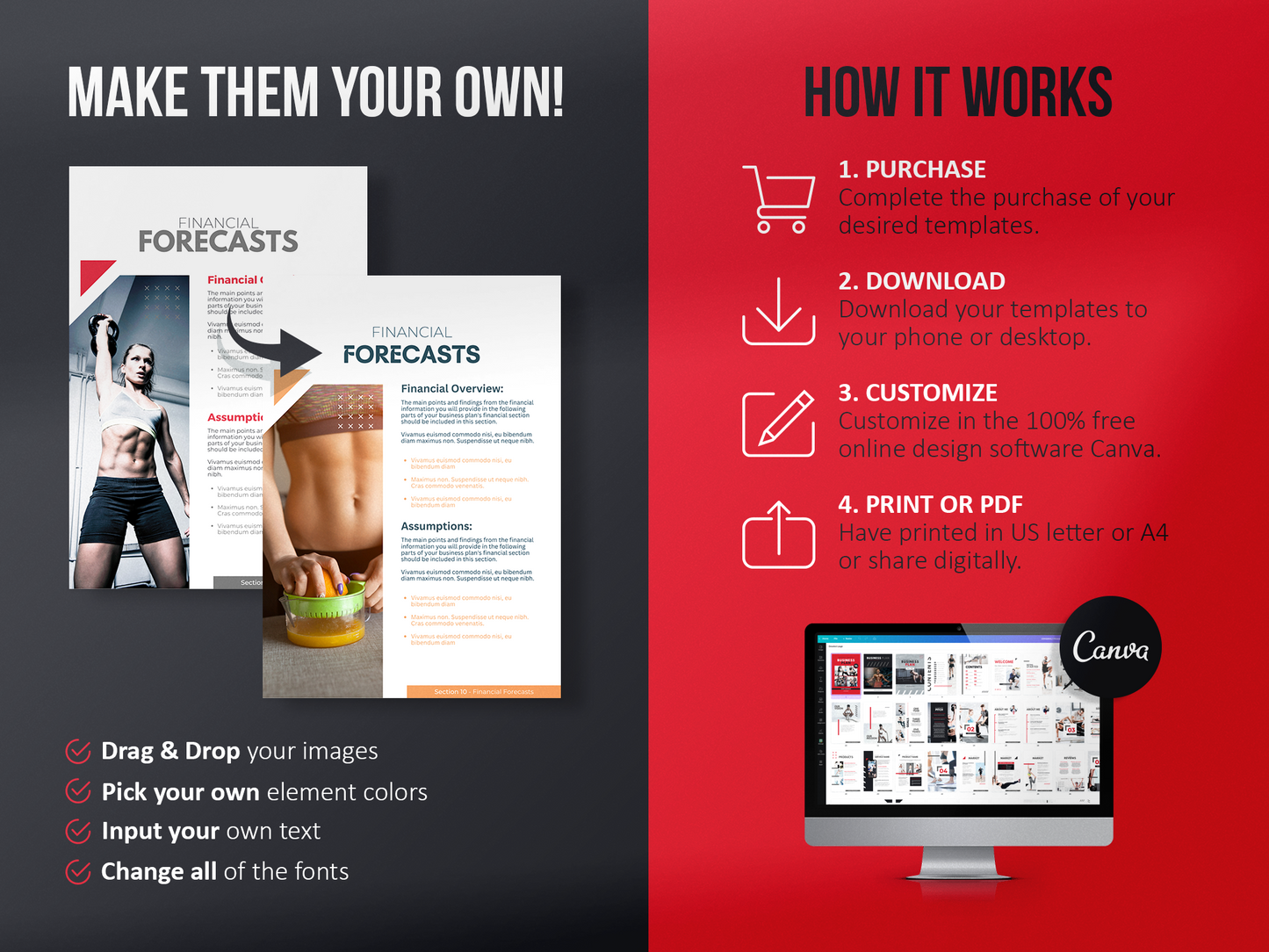 Fitness Business Plan Template (Scarlet)