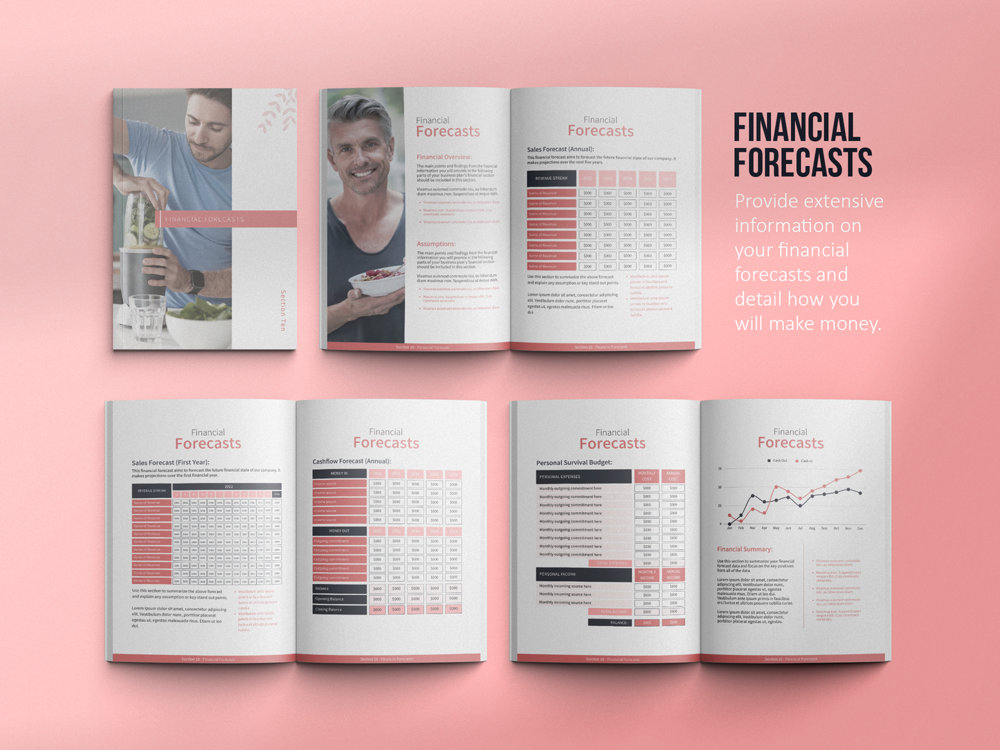 Nutritionist Business Plan Template (Blush)