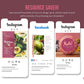 365 Nutrition Instagram Template Bundle For Social Media (crimson berry)