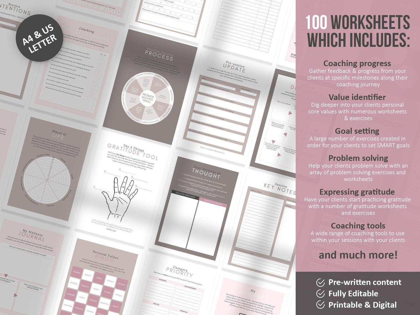 385+ Life Coaching Client Onboarding Toolkit (mauve)