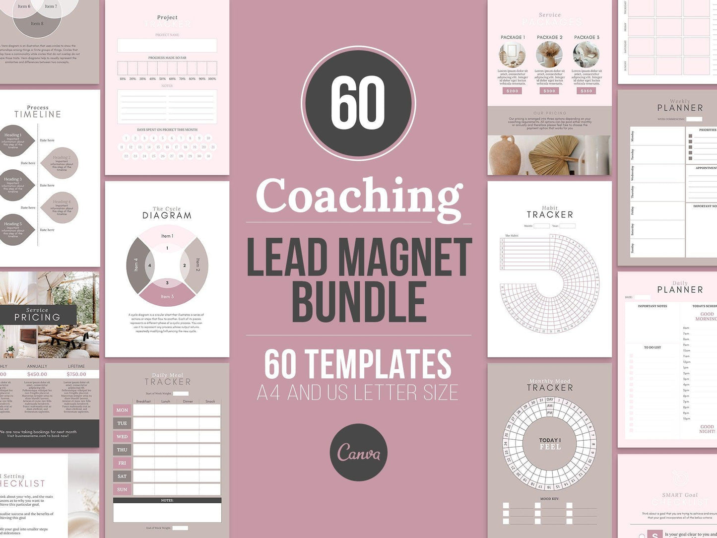 60 Life Coaching Lead Magnets (mauve)
