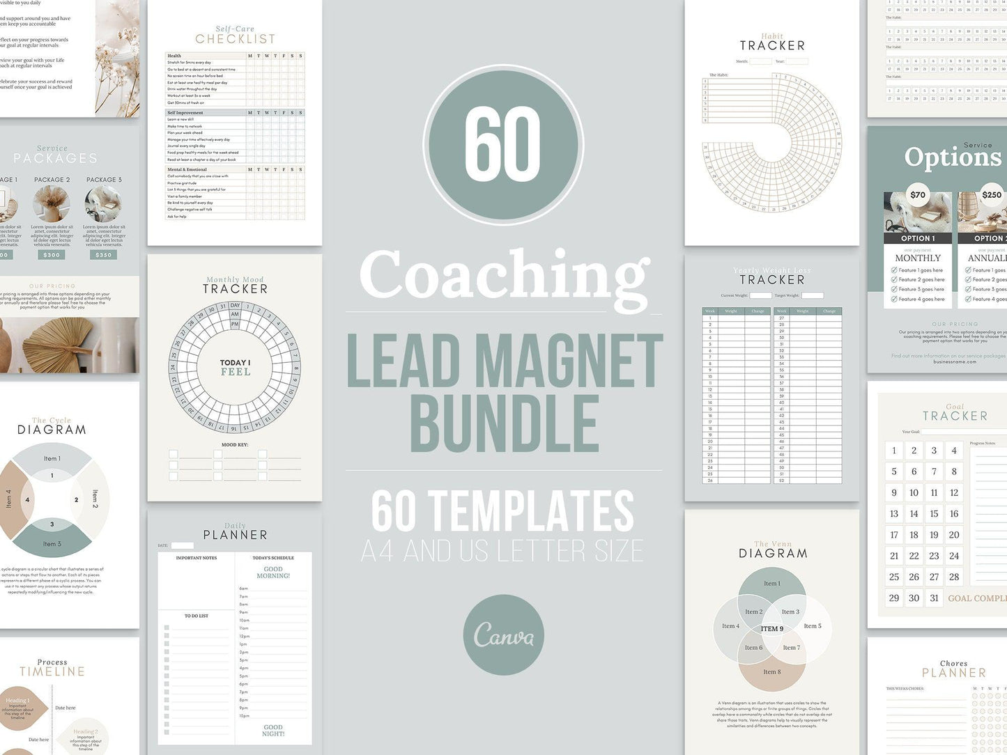 60 Life Coaching Lead Magnets (neutral)