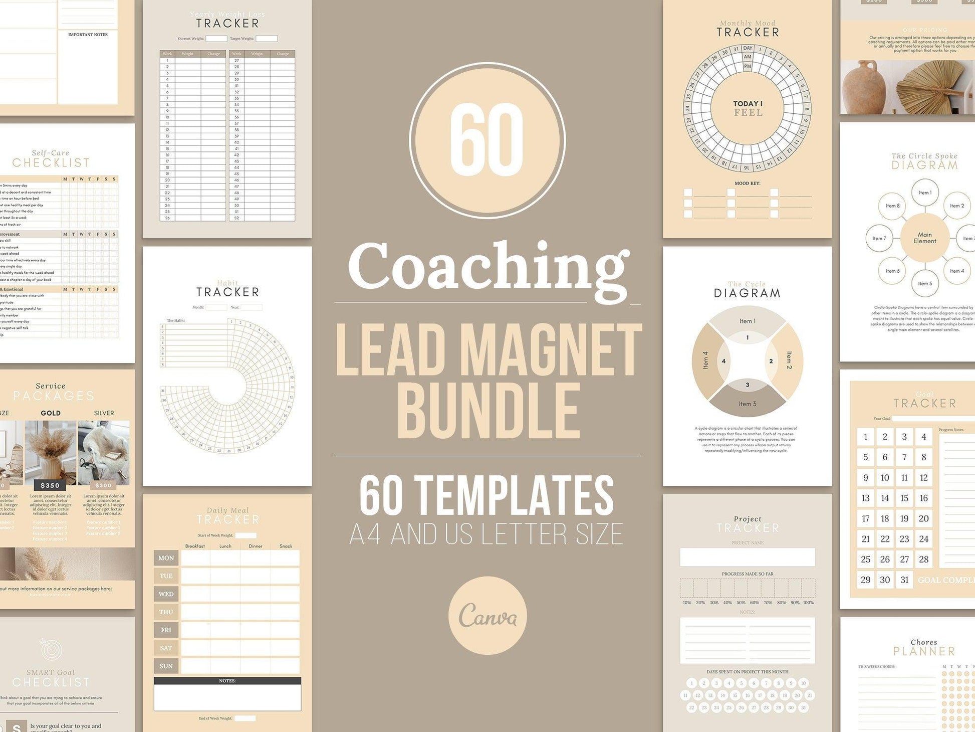 60 Life Coaching Lead Magnets (sand)