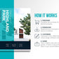 Airbnb Host Welcome Book Template (coastal)