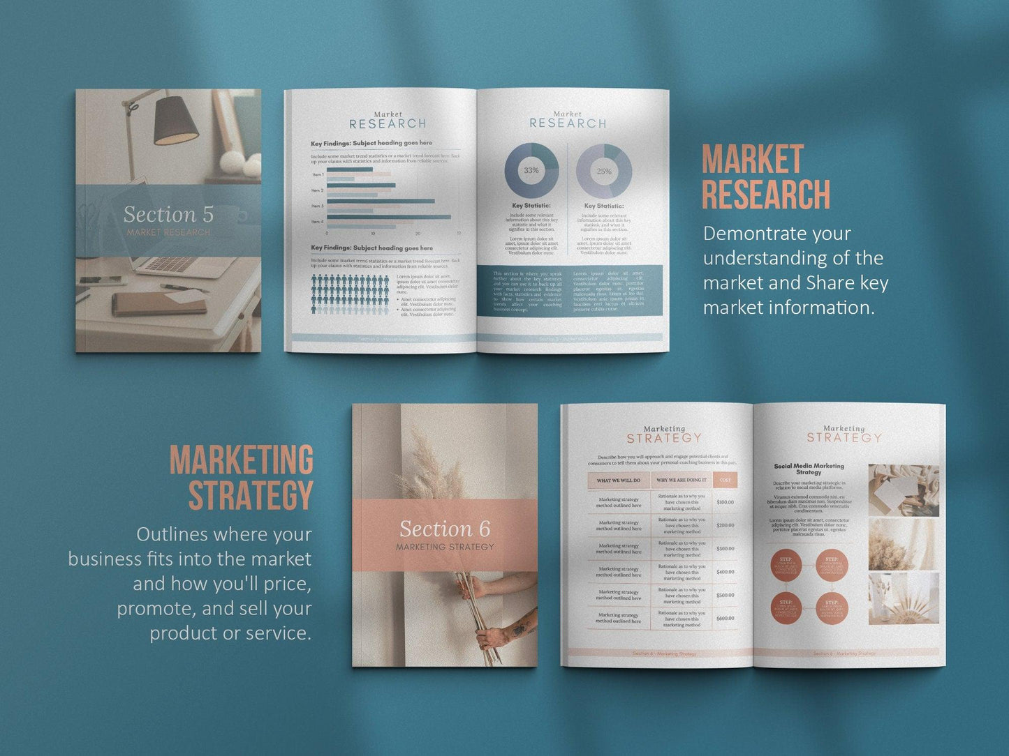 Coaching Business Plan Template (blue)