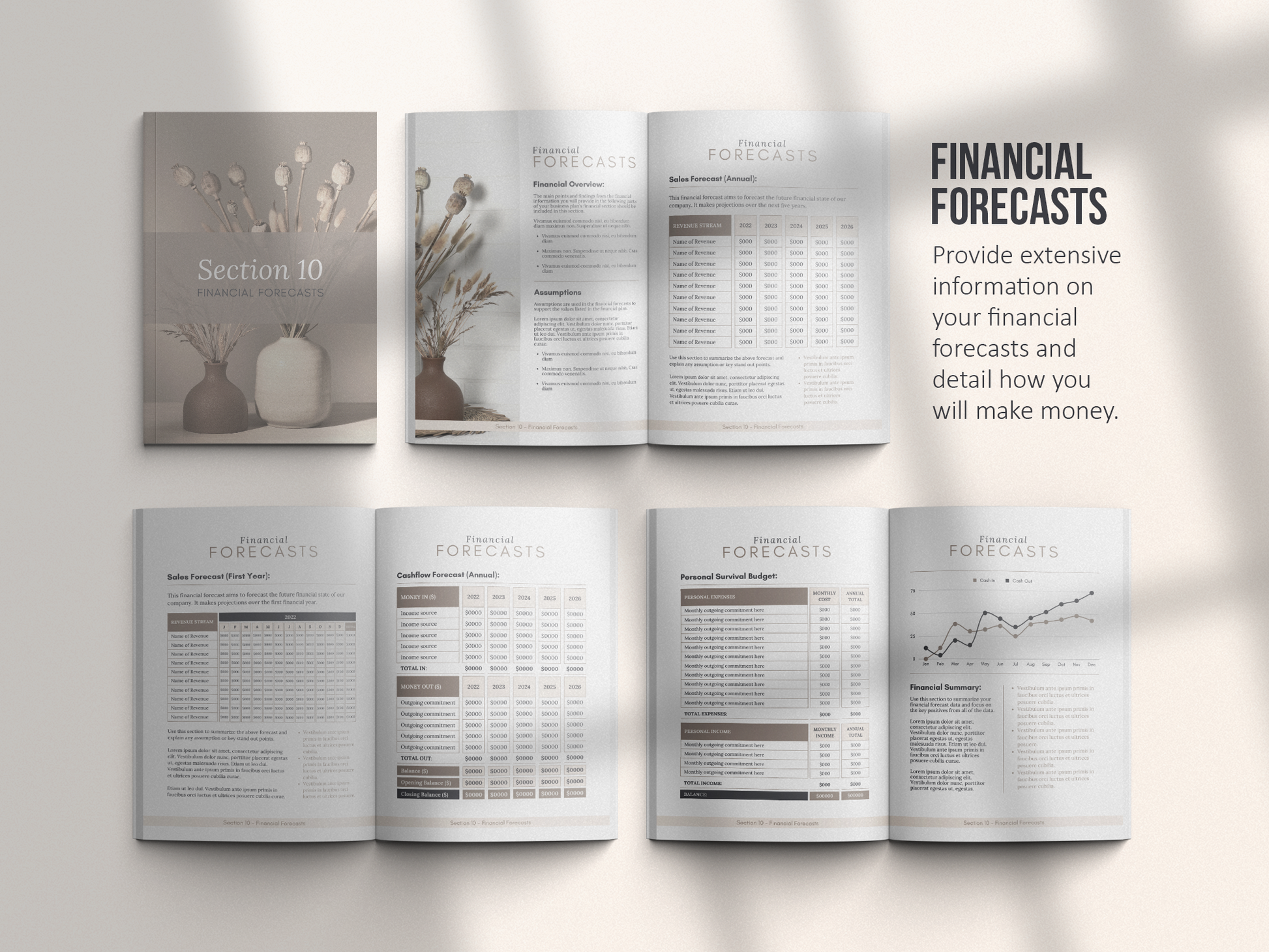 Coaching Business Plan Template (royal)