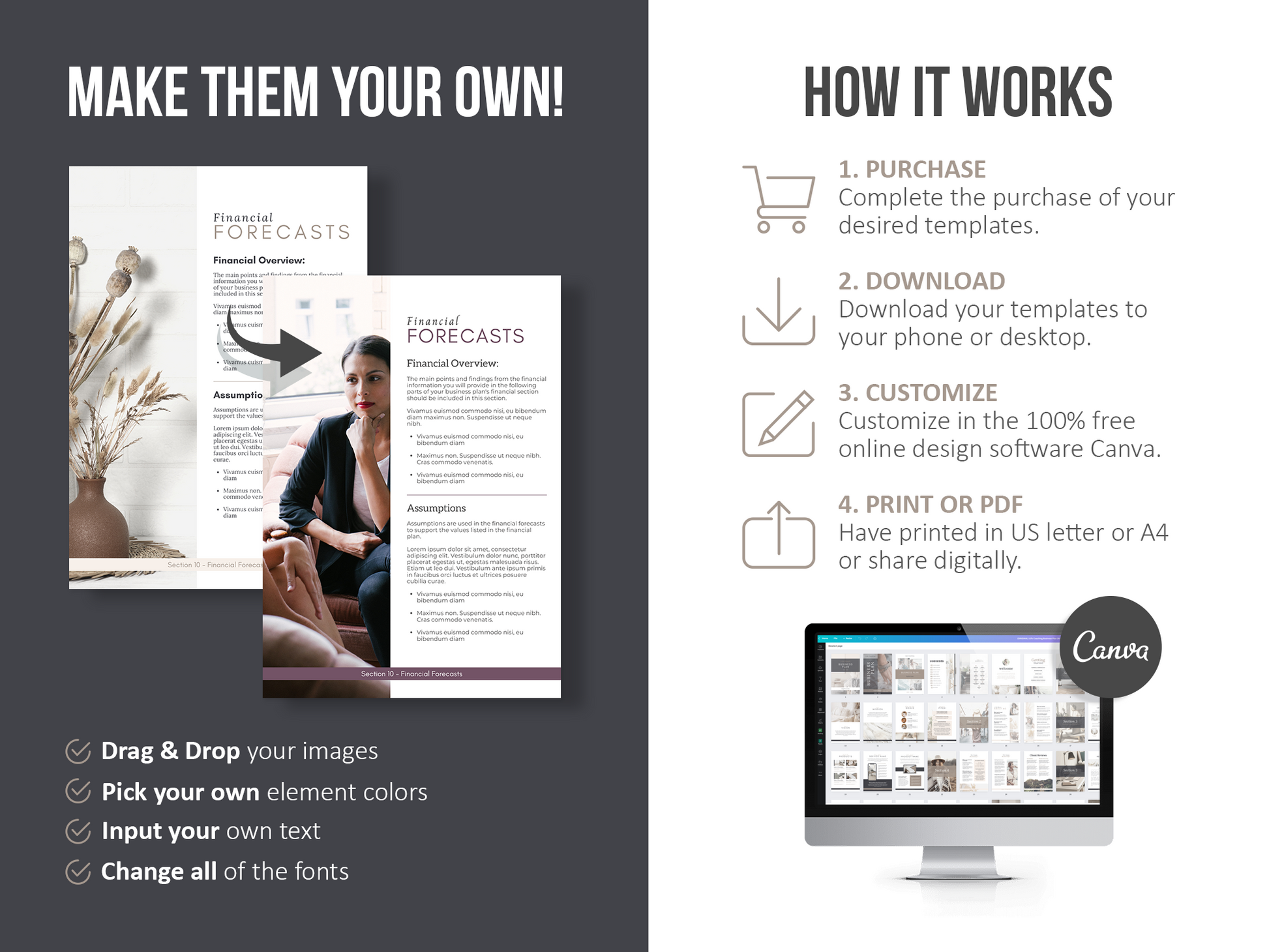 Coaching Business Plan Template (royal)