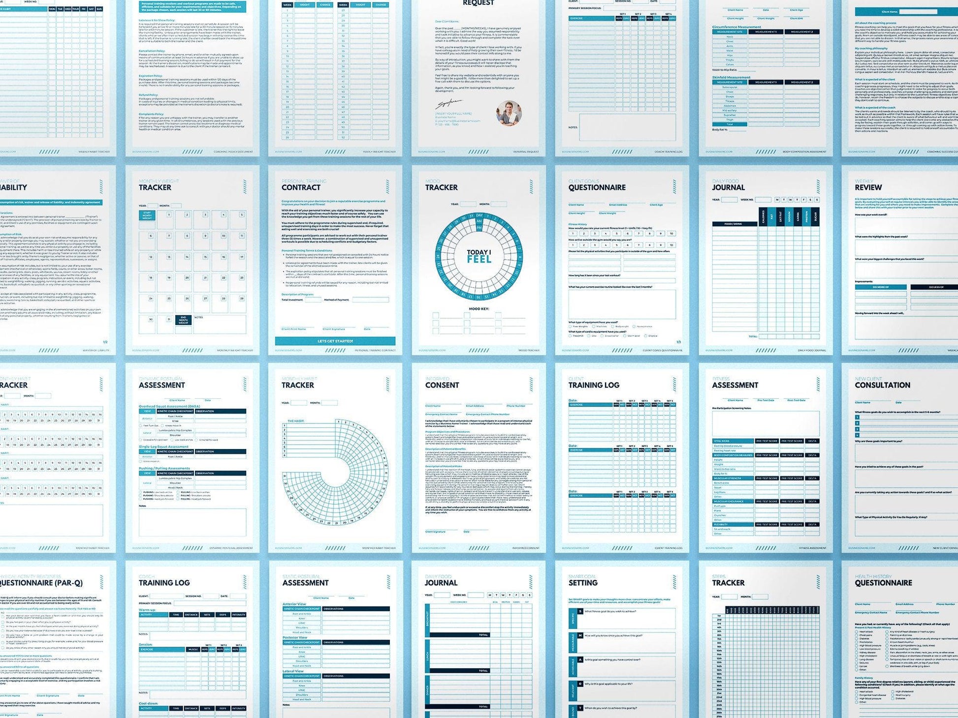Personal Trainer Client Intake Forms and Fitness Trackers (sky)