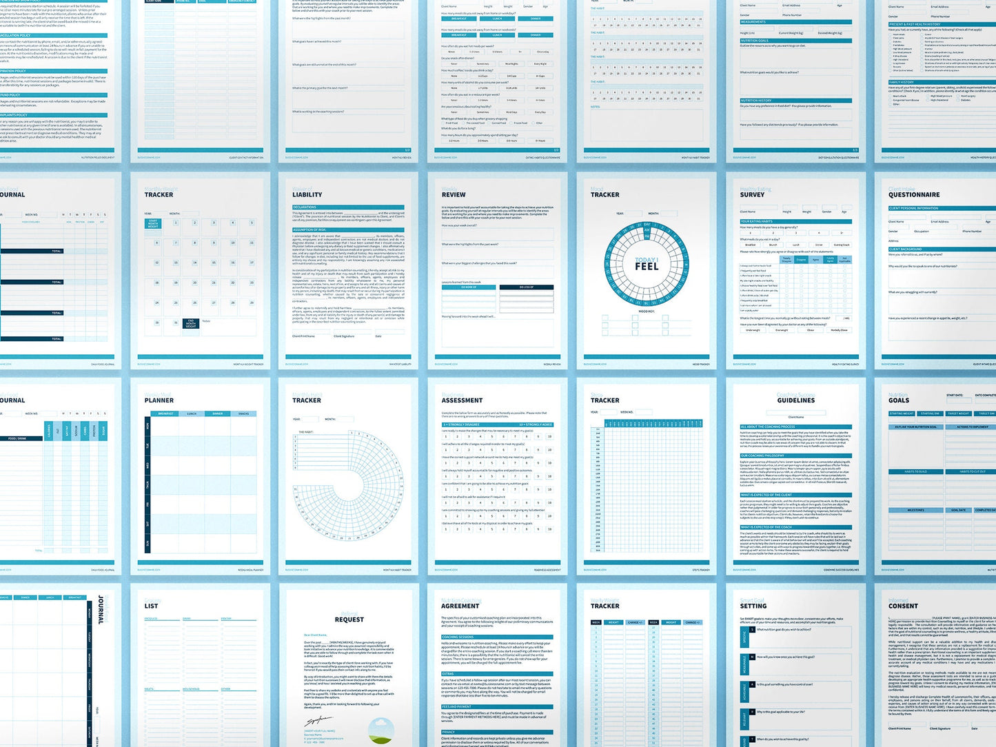 Nutrition Coach Client Intake Forms and Nutrition Trackers (Sky)