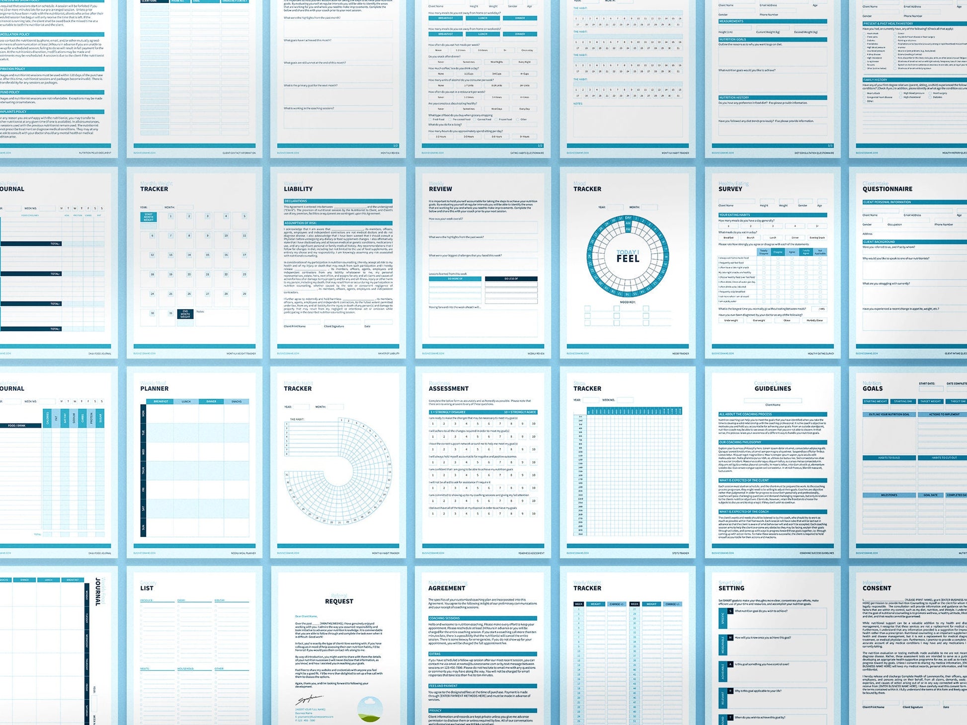 Nutrition Coach Client Intake Forms and Nutrition Trackers (Sky)