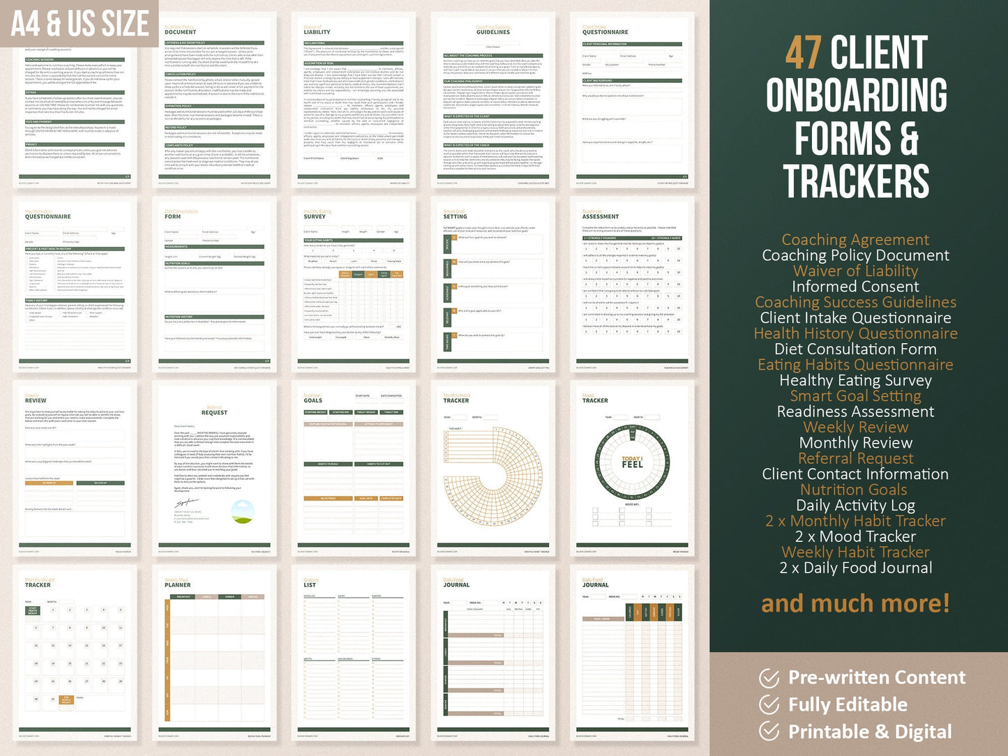 Nutritionist Ultimate Toolkit | Health and Nutrition Templates | Health and Wellbeing | Dietitian Template | Canva Template | Recipe Book