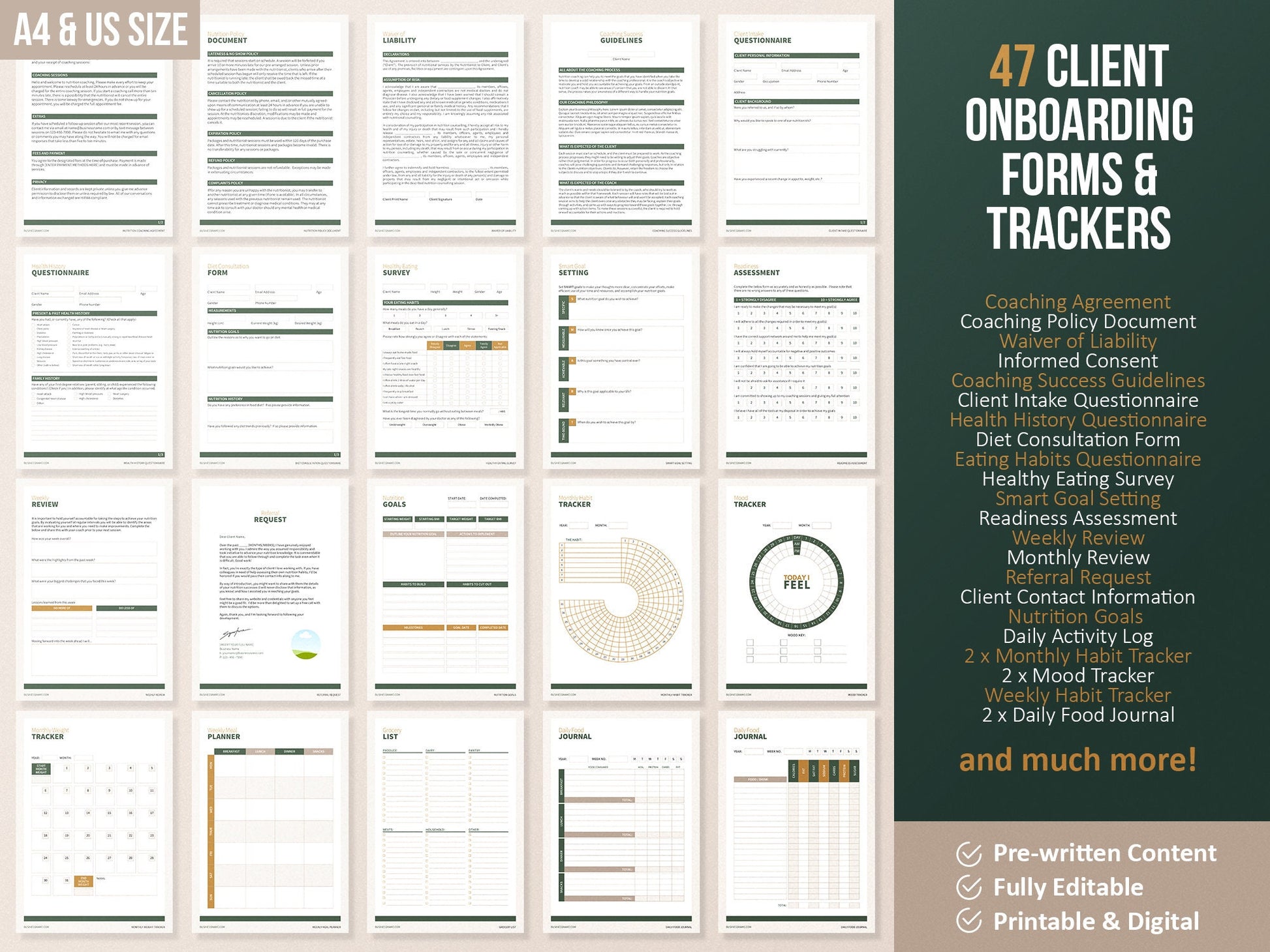 Nutritionist Ultimate Toolkit | Health and Nutrition Templates | Health and Wellbeing | Dietitian Template | Canva Template | Recipe Book