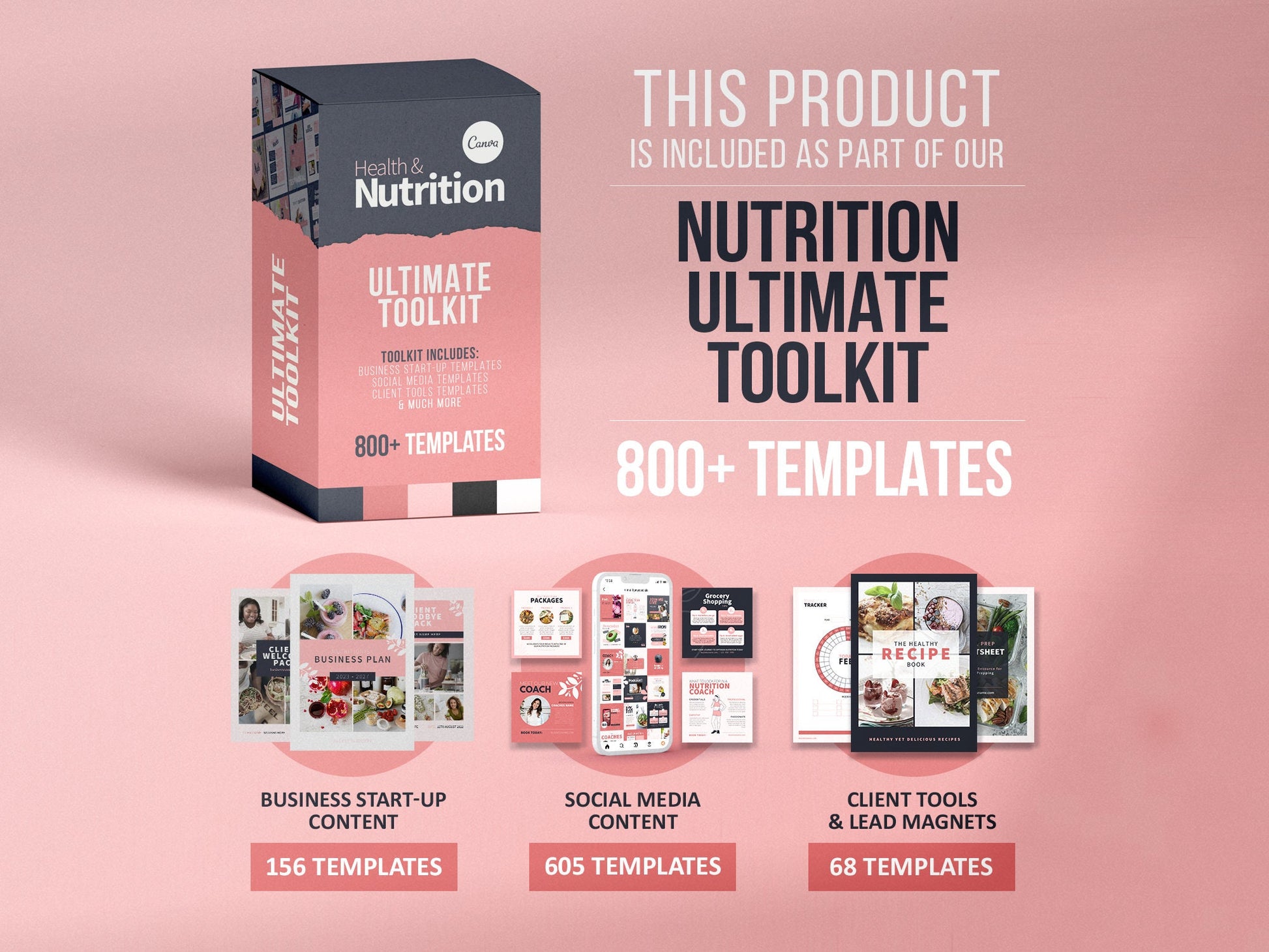 Nutritionist Business Plan Template (Blush)